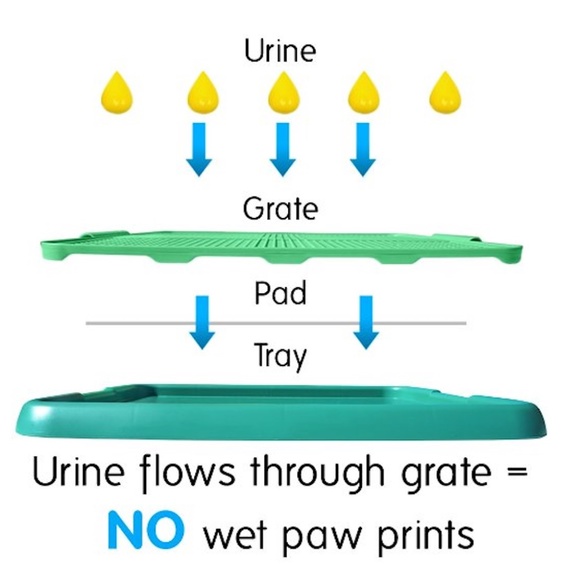 Alpha Dog Series - Indoor Potty Training Toilet Pad Holder Trays for Dogs - Picture 8 of 12